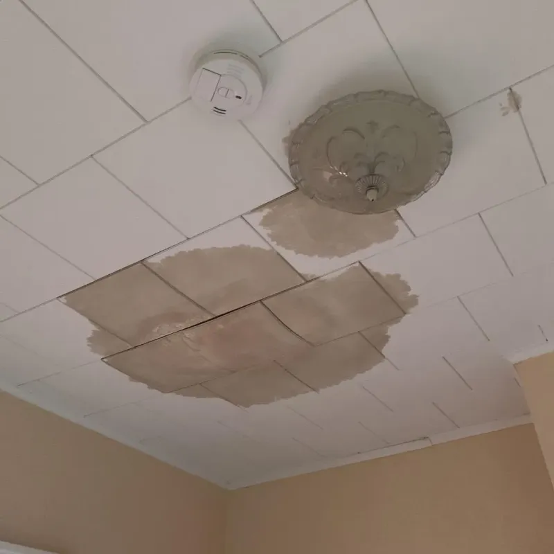 Ceiling Water Damage Repair in Lindley, NY