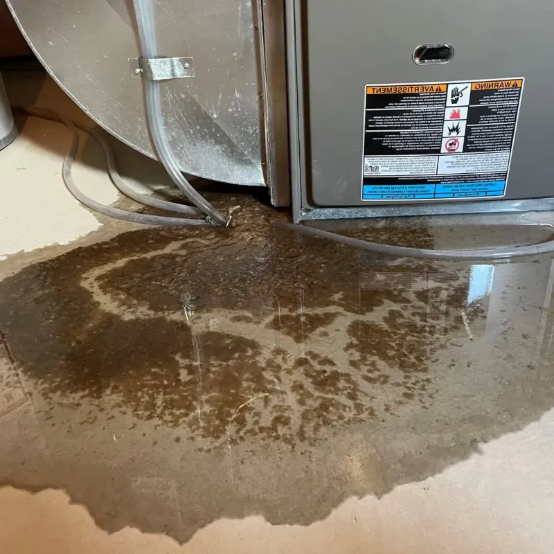 Pipe Burst and Leak Restoration in Lindley, NY