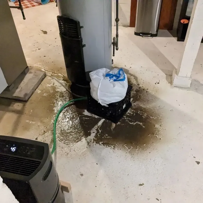 Sewage Backup Cleanup Service in Lindley, NY